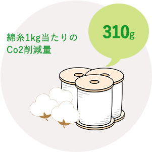 綿糸1kgのCo2削減量