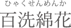 百洗綿花