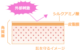 肌を守るイメージ