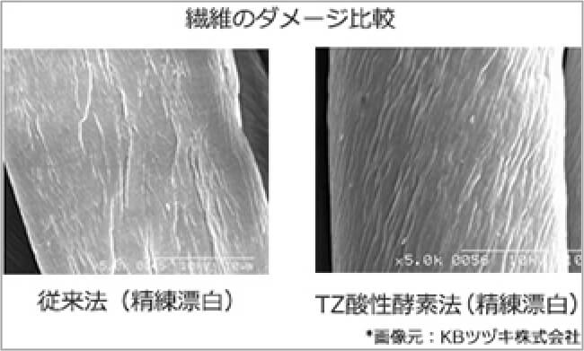 繊維のダメージ比較