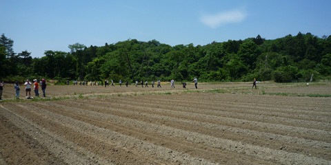 2015東松島種まき1