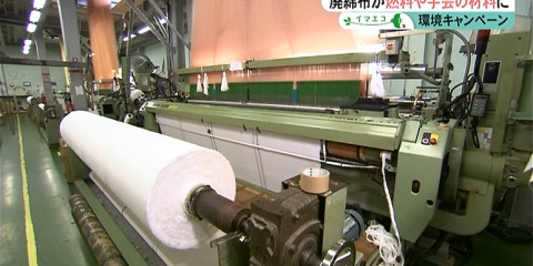 捨て耳が出る様子