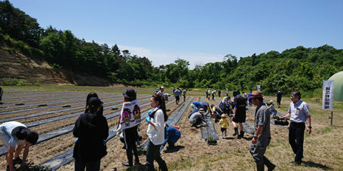 東松島農場